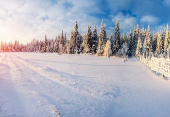 Värmevantar herr banner