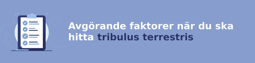 viktiga faktorer för att välja rätt tribulus terrestris