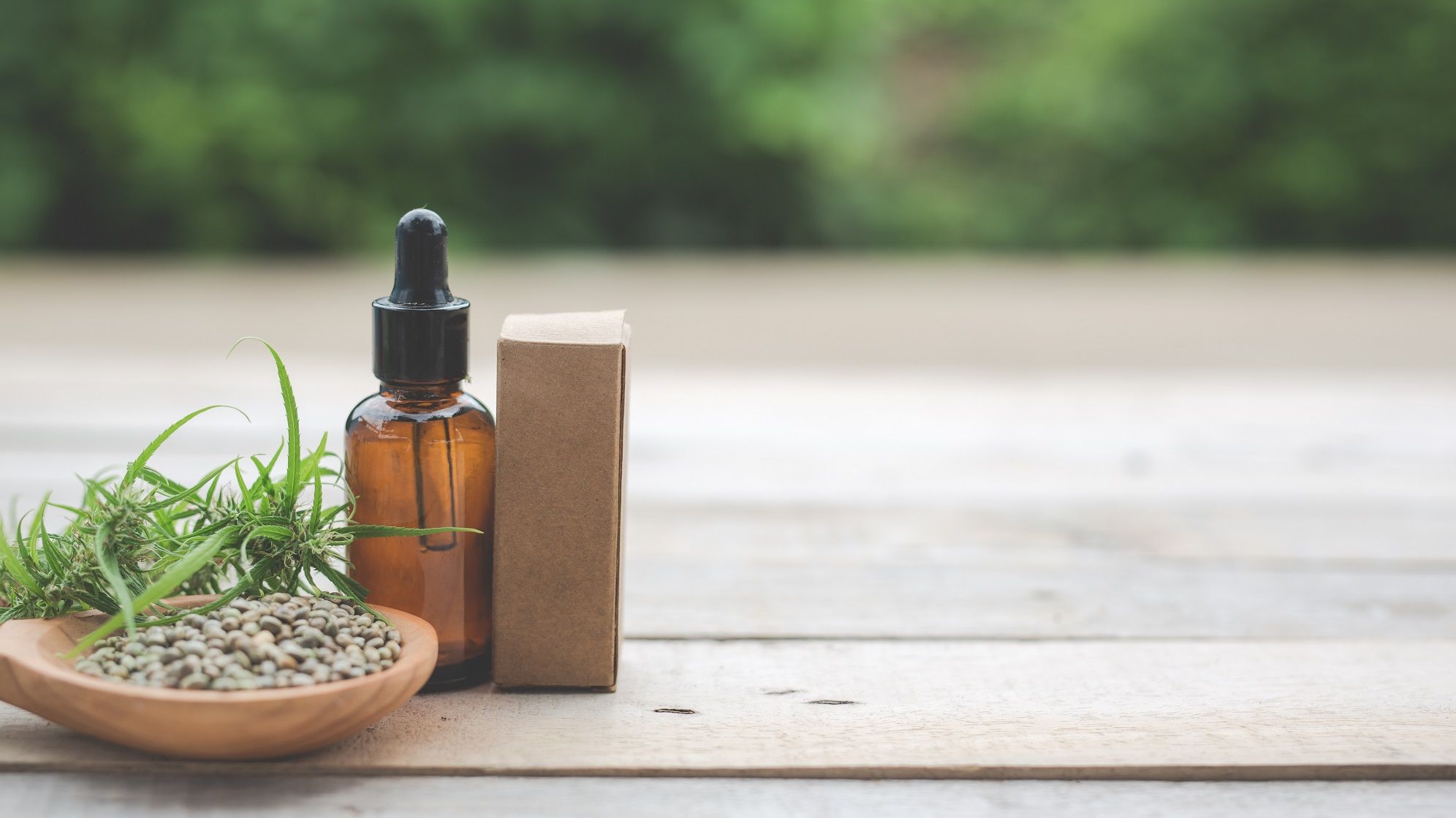 cbd olja guide