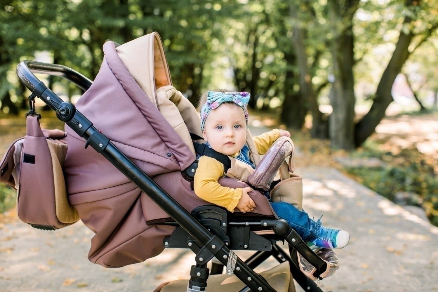 cute little baby girl brown baby carriage park evening sun shine