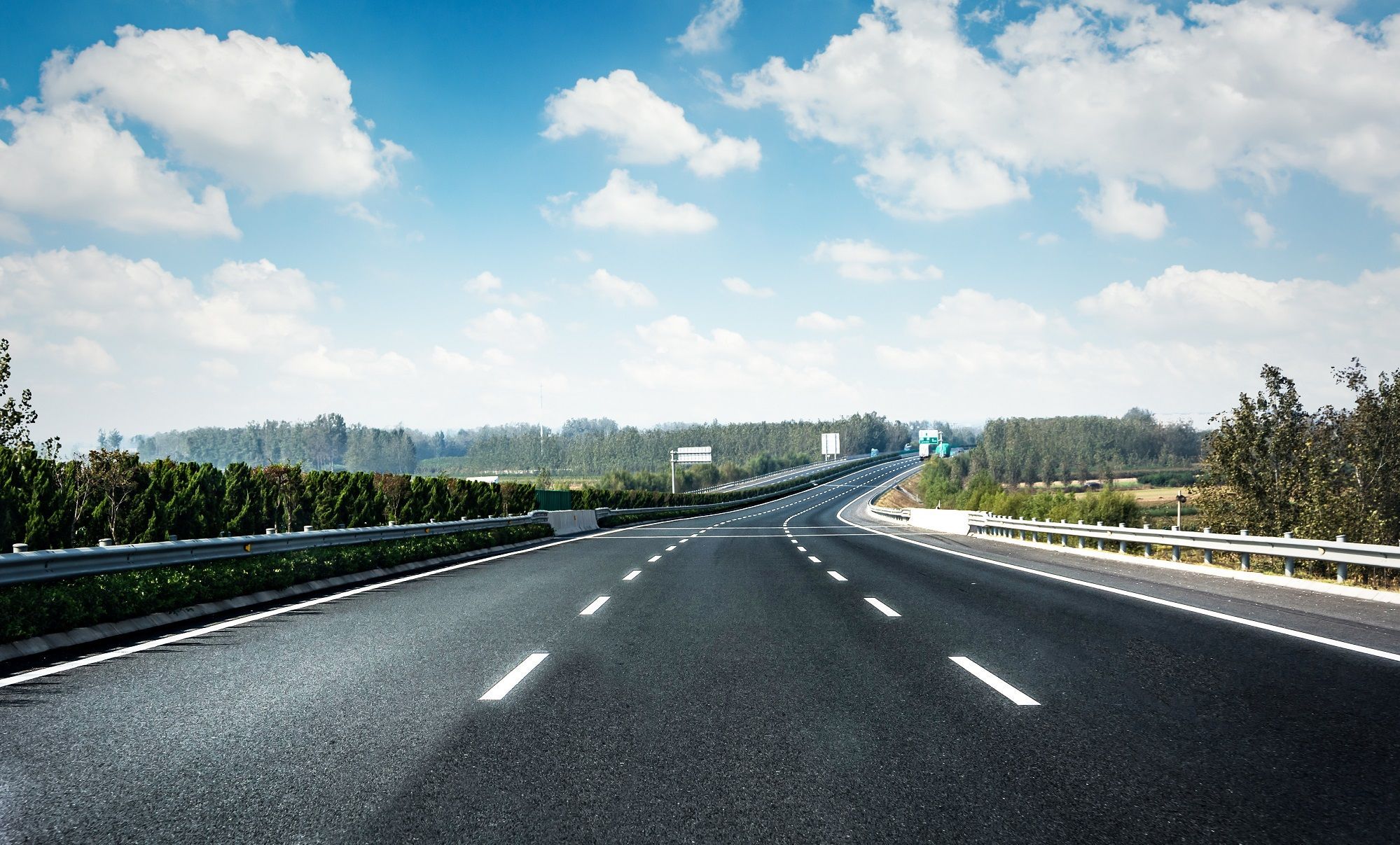 road forest