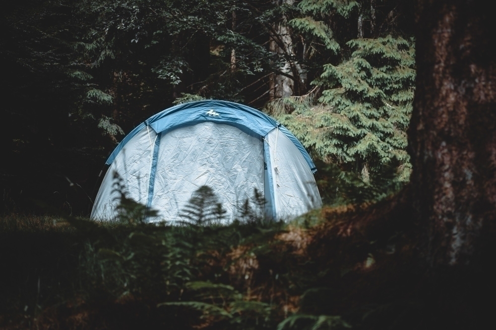 A fantastic camping day in a tent