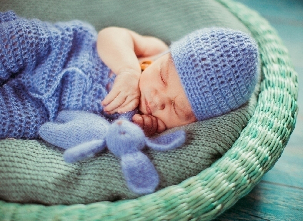 Baby nest Banner 2