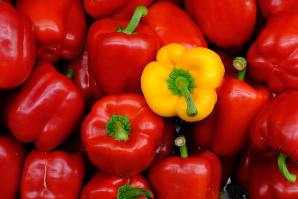 Full frame shot of red bell peppers at market