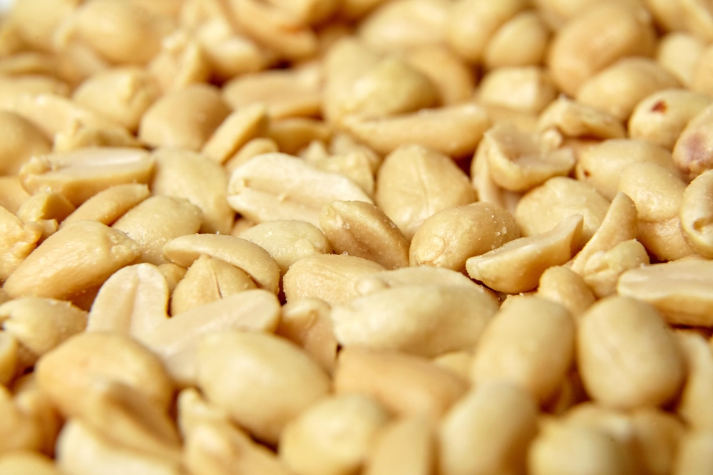 Roasted peanuts salted snack