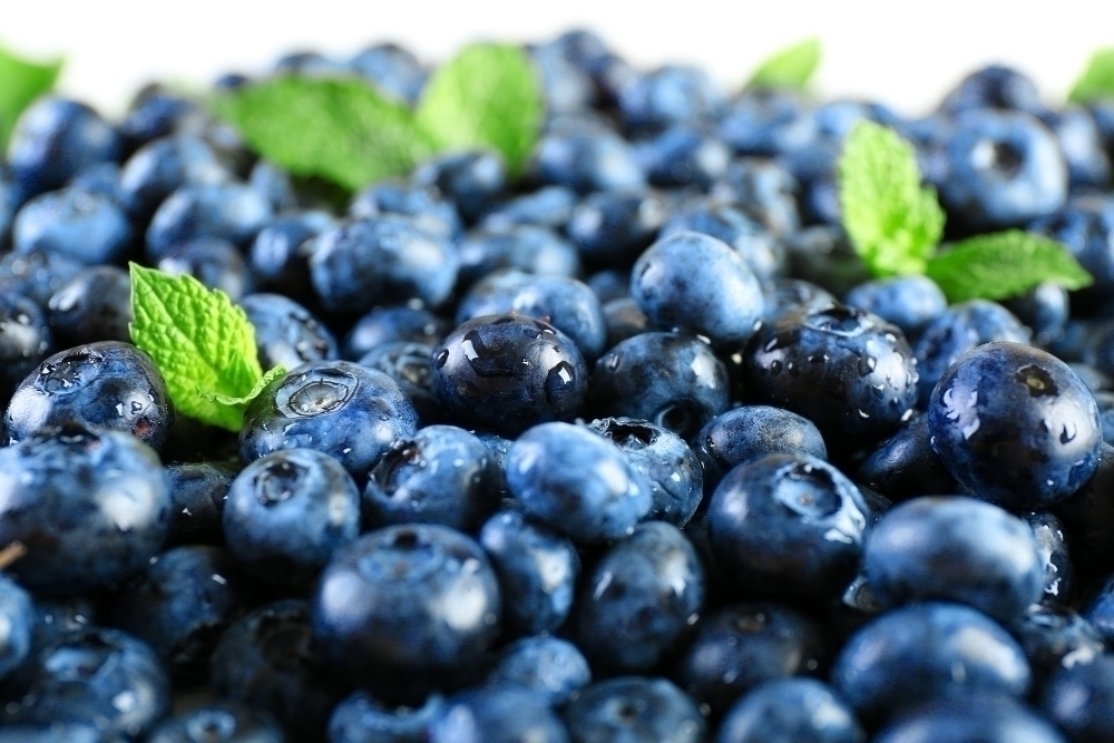 Tasty ripe blueberries with green leaves close up