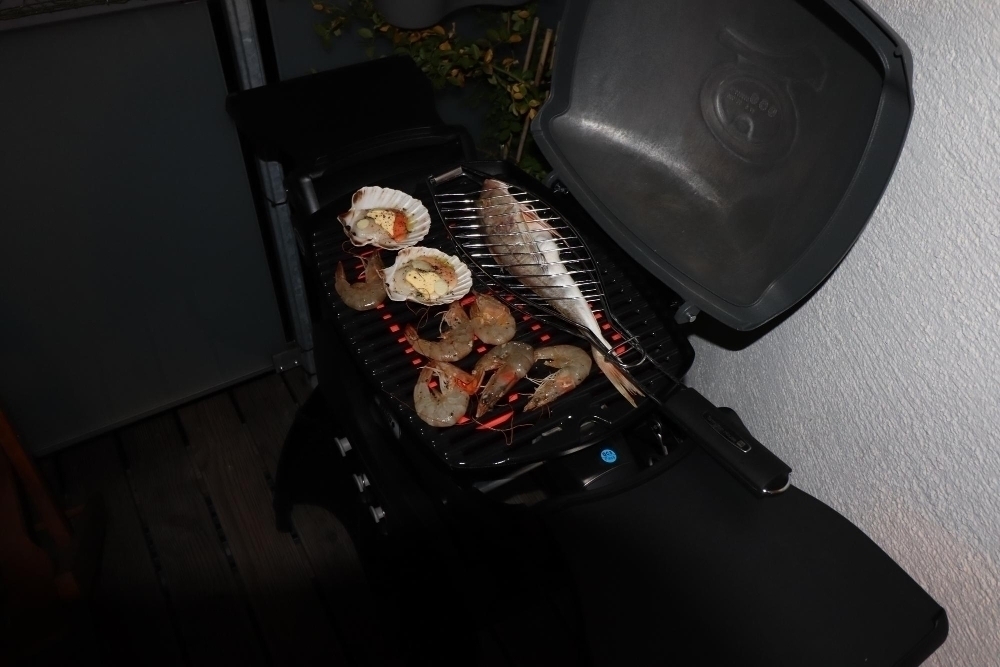 Weber electric grill fish grilling2