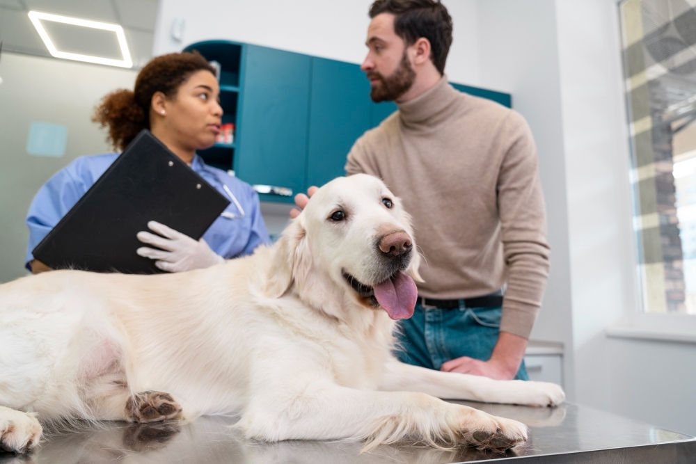 glad hund hos veterinaren