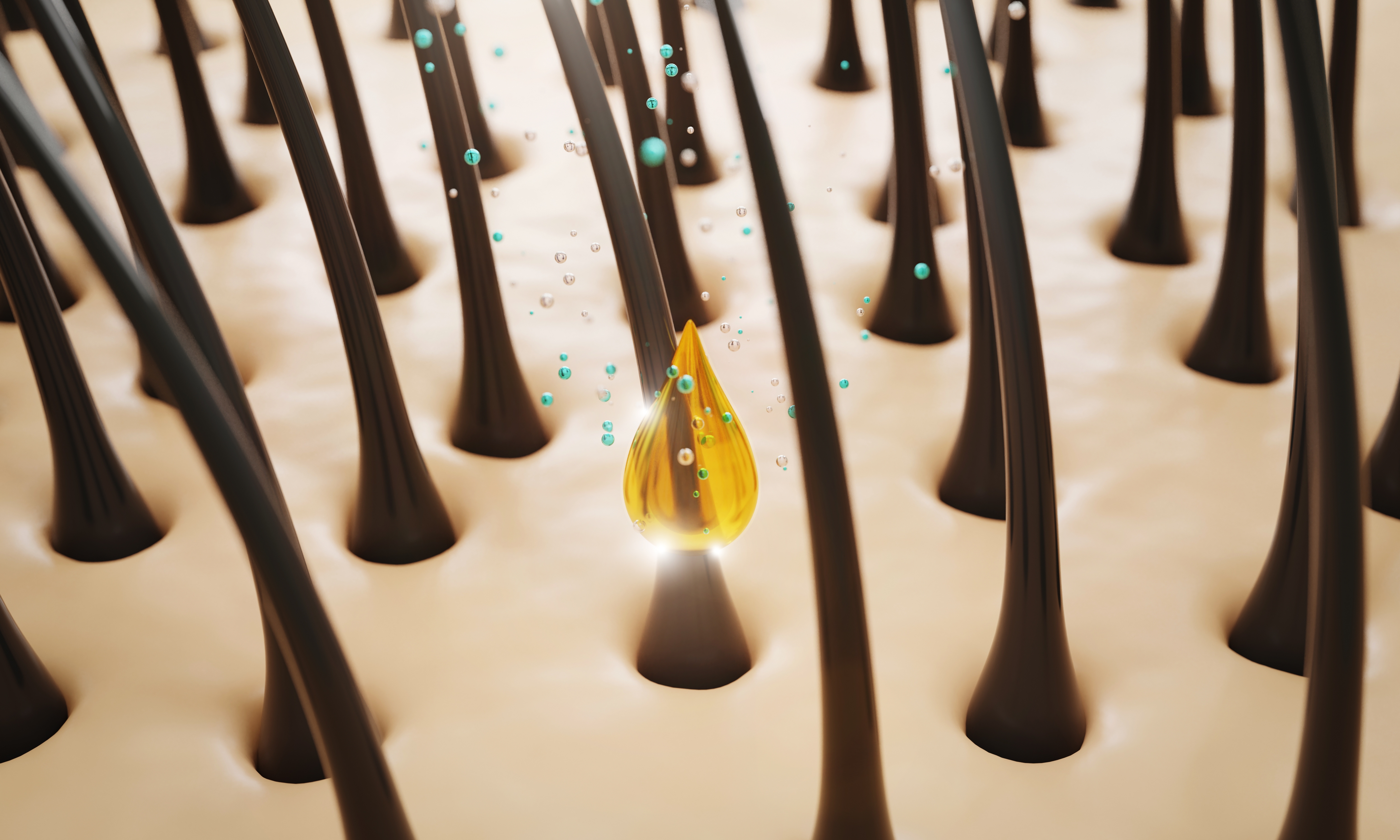 hairoil banner2