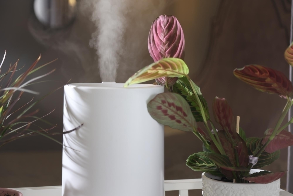 modern vit luftfuktare i mysig miljoe