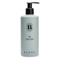 Björk Ag Silver Shampoo