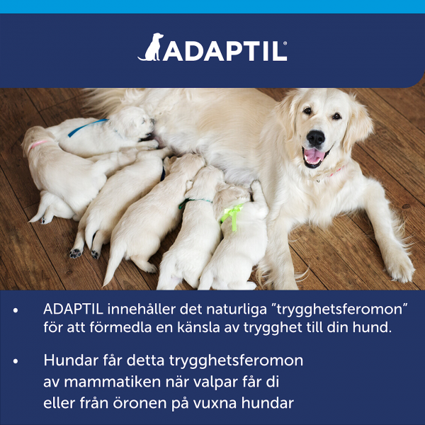 Adaptil Calm Home Doftavgivare