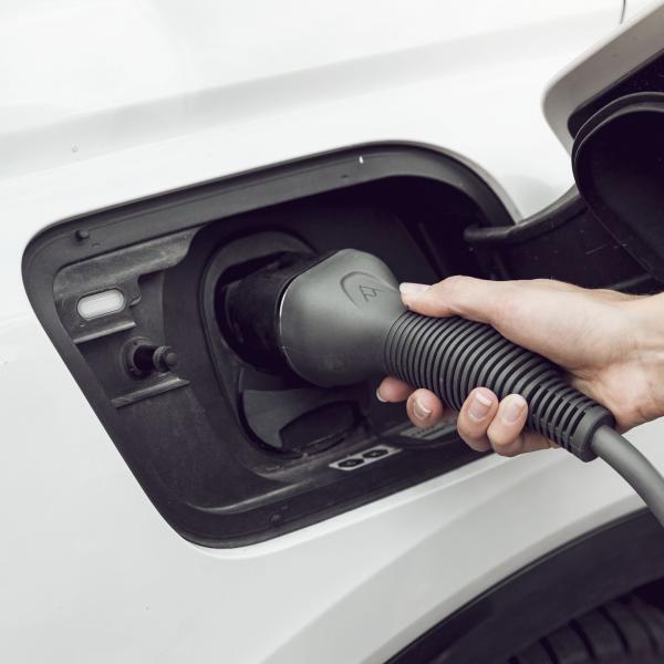 Charge Amps Beam Type 2