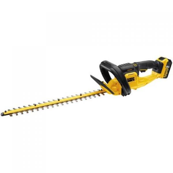 Dewalt DCM563P1