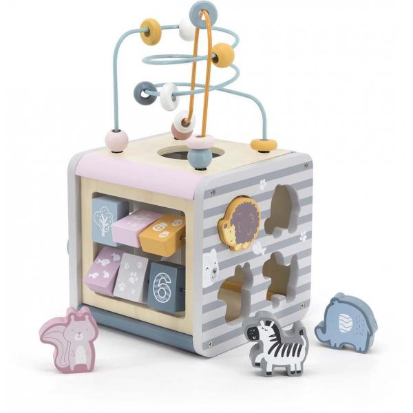 VIGA Polar B Aktivitetskub