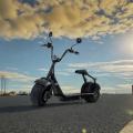 Lyfco Fatscooter 2000W LG