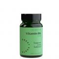 Great Earth Vitamin B6
