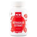 Healthwell Astragalus Extrakt
