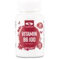 Healthwell Vitamin B6 100