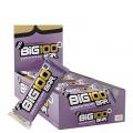 15 x Big 100 Proteinbar