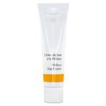 Dr Hauschka Melissa Day Cream