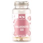 Healthwell Hyaluronsyra 500