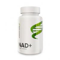 Body science NAD+