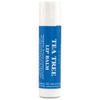 Föllinge Tea Tree Lip Balm