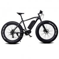 Momas F2 - Fatbike