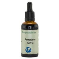 Örtspecialisten Astragalus 1000A